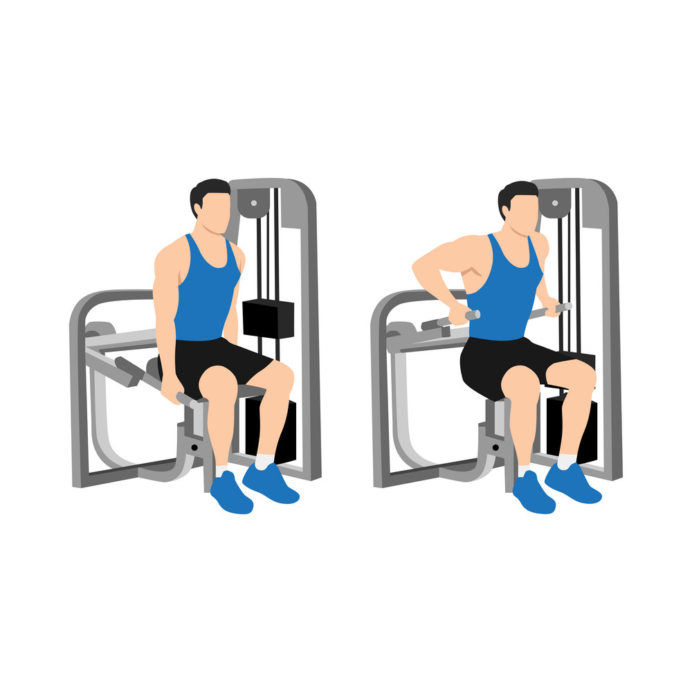 How To Use The Seated Dip Machine